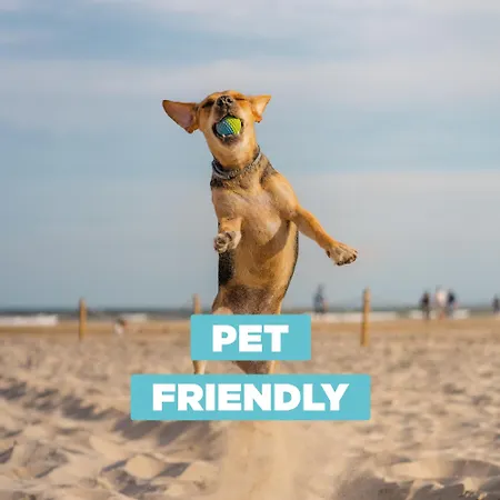 Iris 10 Apartament *